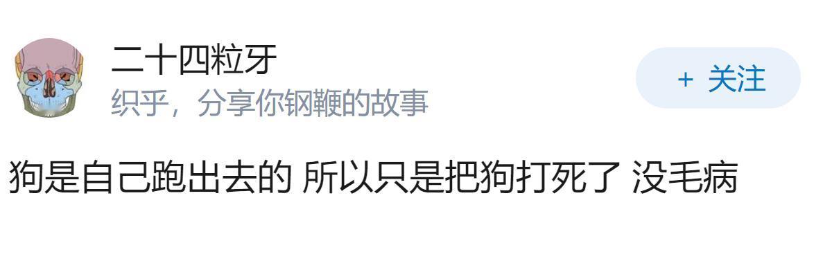 如何看待湖南城管当街打死「不牵绳」宠物狗，狗主人称「狗是自己跑出去的」？