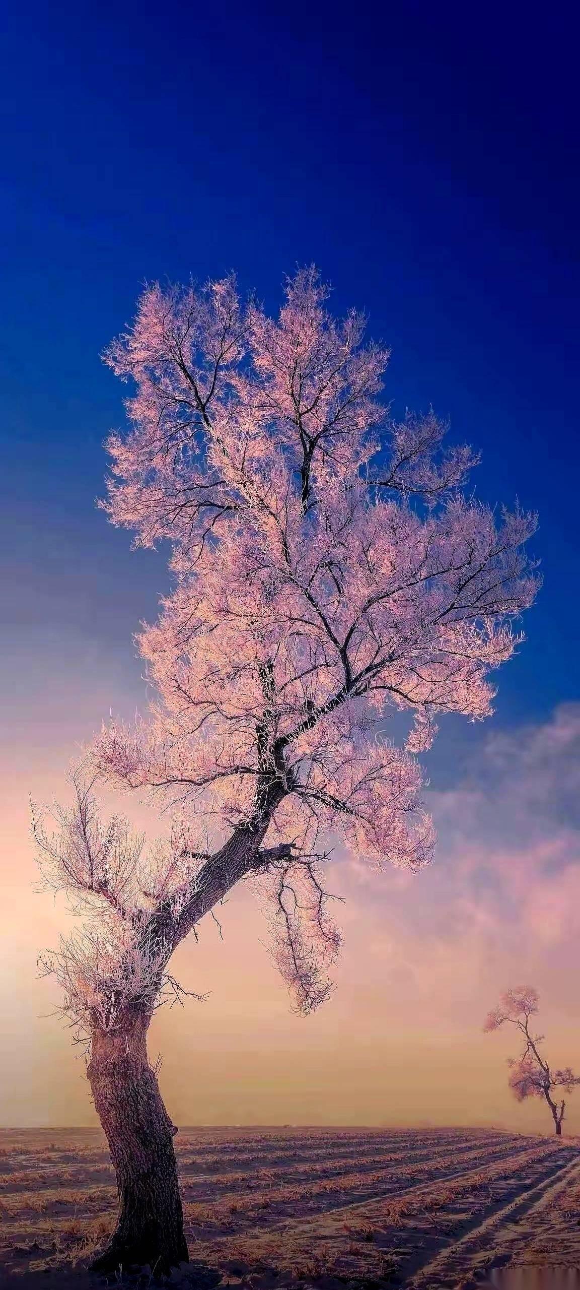 那只沾满泡沫的手，猛地一下箍住我的腰，劲儿大得吓人，我怎么也挣不开。
这一单，赚