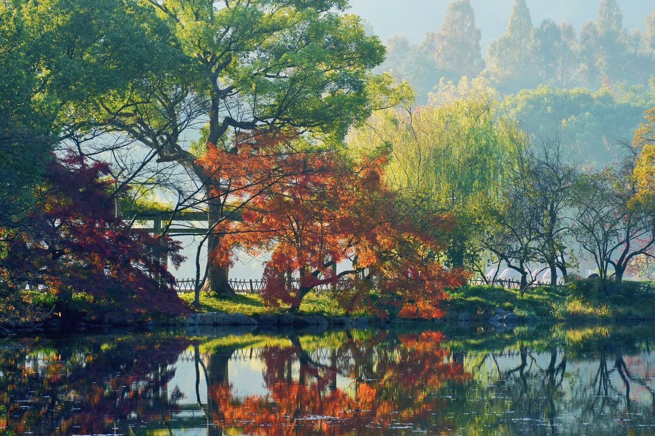 以色列和老美犯了一个巨大的错误，那就是他随意地就暗杀了一个国家的领导人。你换个角