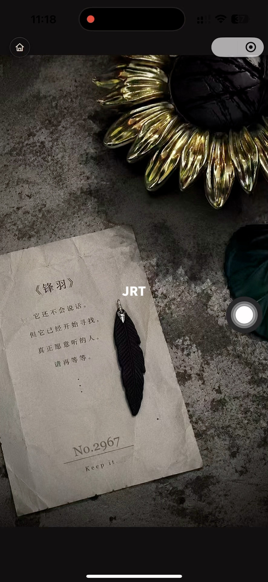 分享图片 