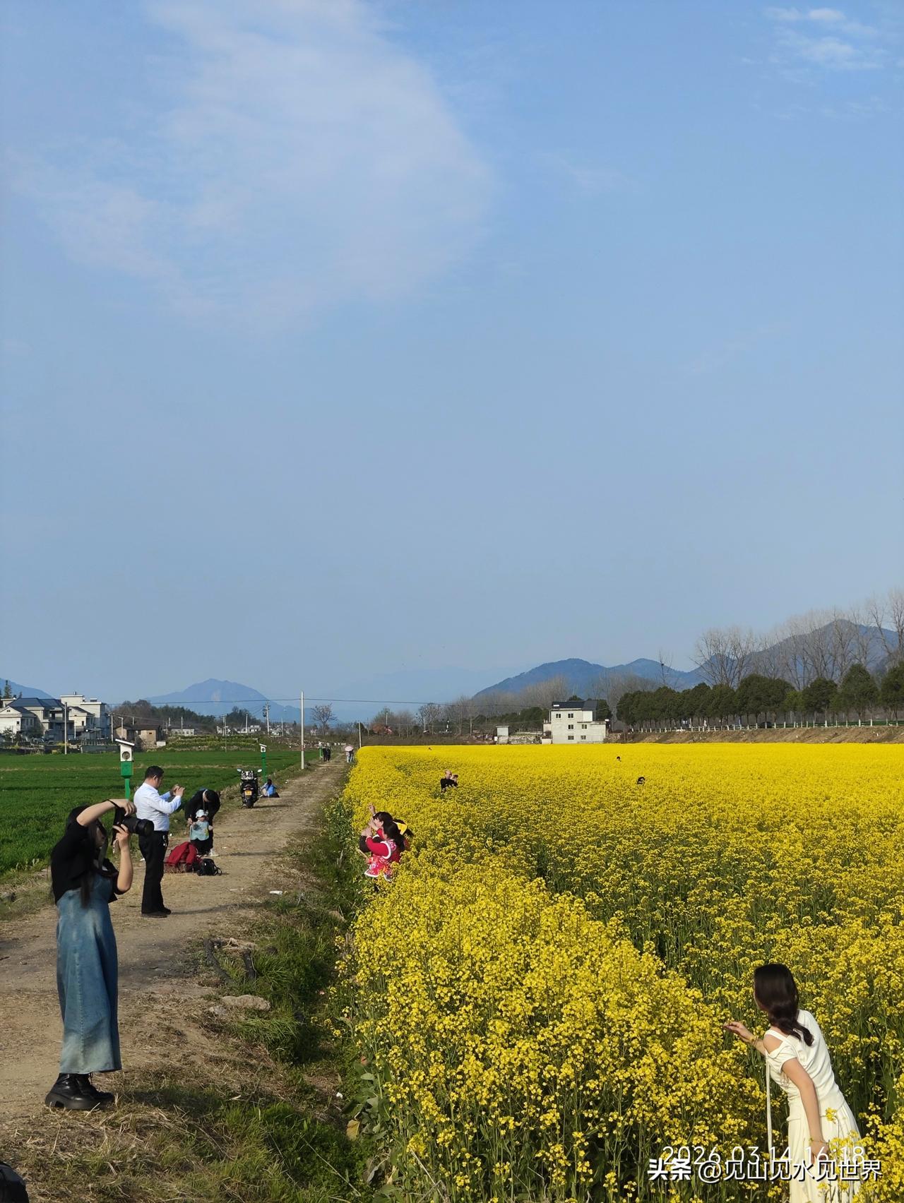 少操心，活自己

邻居张叔退休那年，身体突然垮了。

他原本是个闲不住的人，退了