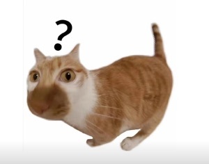 ⭕ 现言现偶▷男女主是有钱人+男二女二是普通人反派➡️媚富！按阶级分配颜值和人品