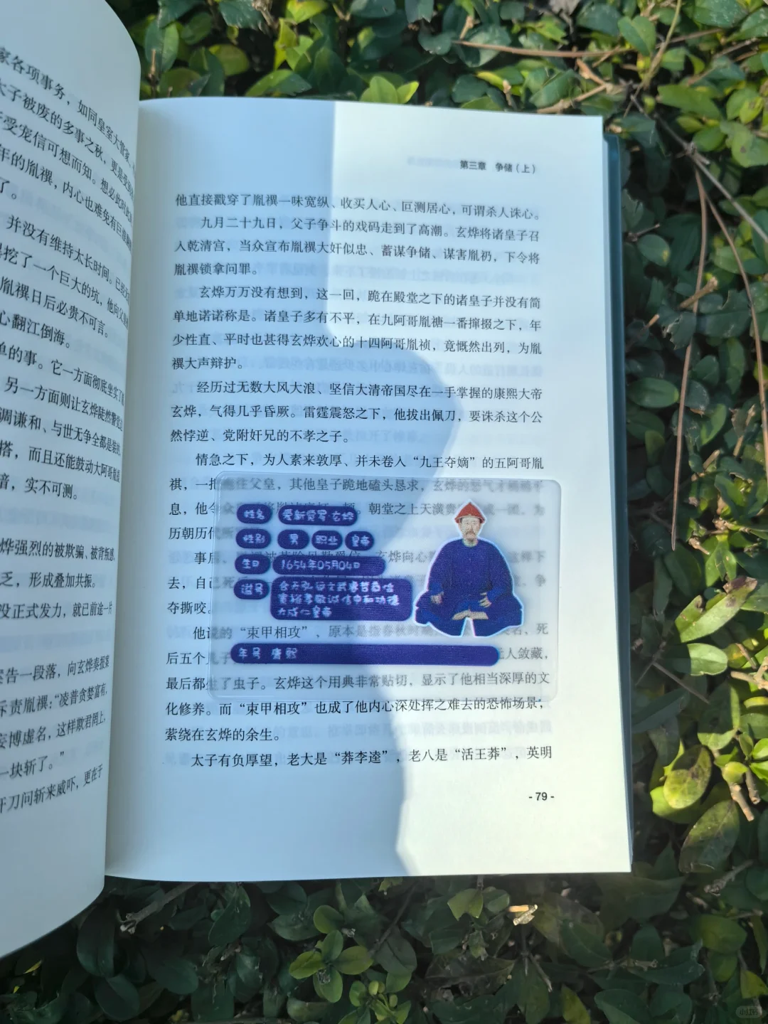 《圣人的迟暮》：真实的九子夺嫡有多激烈？