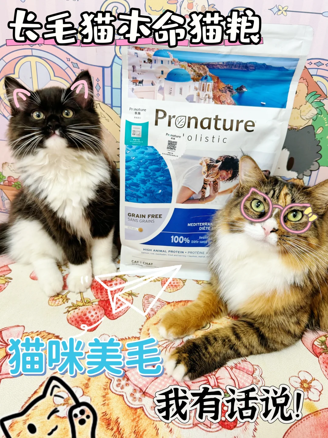 长毛猫猫粮🔀我选对了！