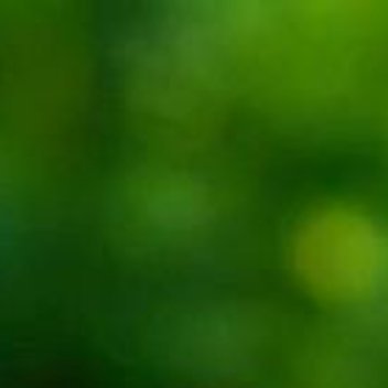 每日一善[超话]💫每日一善💫阳光信用【708极好☀️丨🉑蹭🉑🧱】【🈲