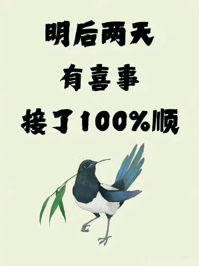见喜鹊有喜事发生！秒接！​​​