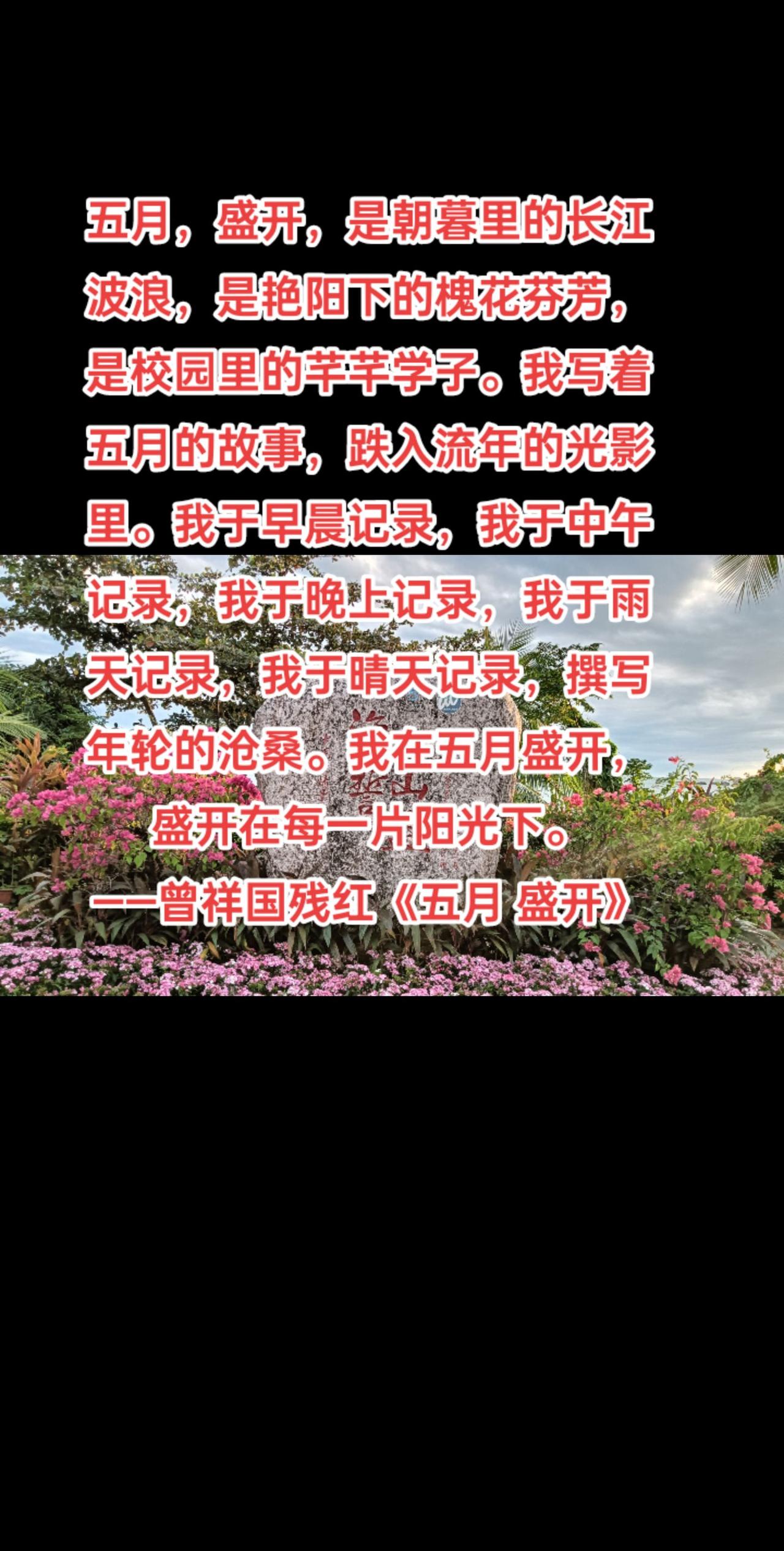 五月，盛开，是朝暮里的长江波浪，是艳阳下的槐花芬芳，是校园里的芊芊学子。我写着五