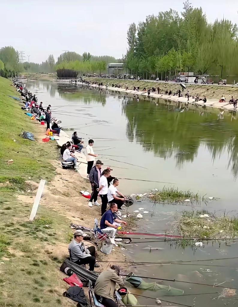 这个钓鱼场景，是不是开了眼界？
——这河道的鱼是多吗？
——这些人不是在钓鱼，明
