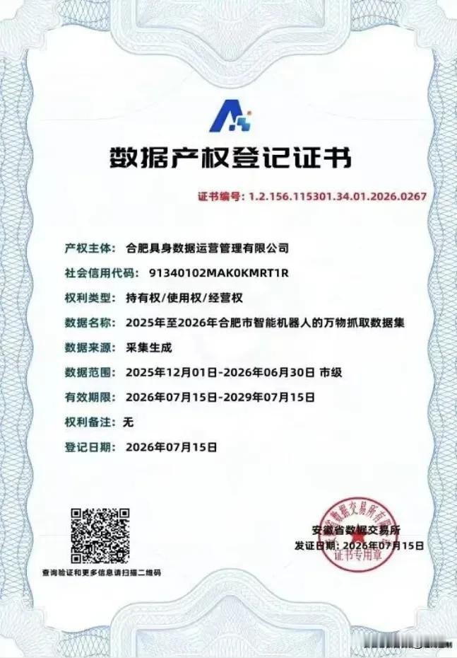 合肥这份机器人“教材”获官方认证          近日，合肥具身数据运营管理有