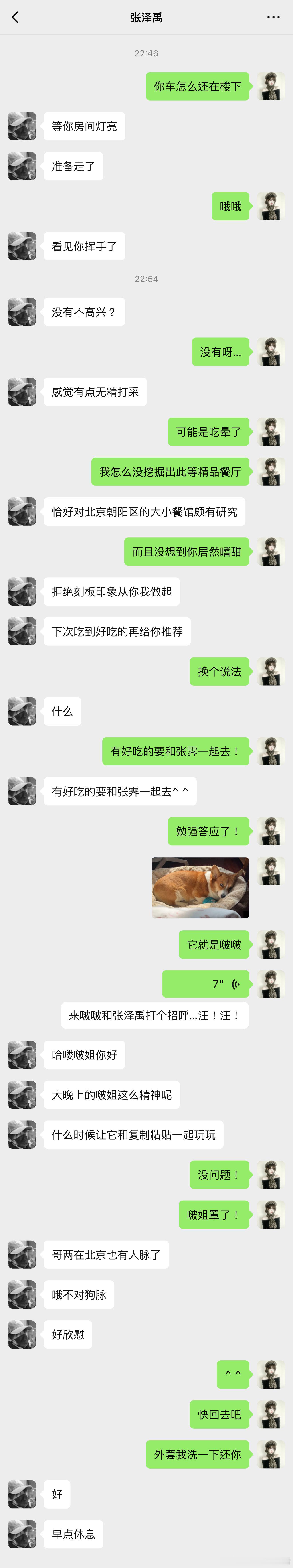 5403【禹霁】谈点晴天猫狗无酒精的爱情02 
