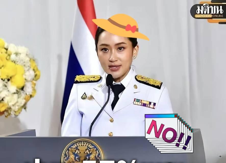 就在刚刚  
泰国总理宣布了  
11月10日，泰国总理阿努廷突然宣布，将暂停执