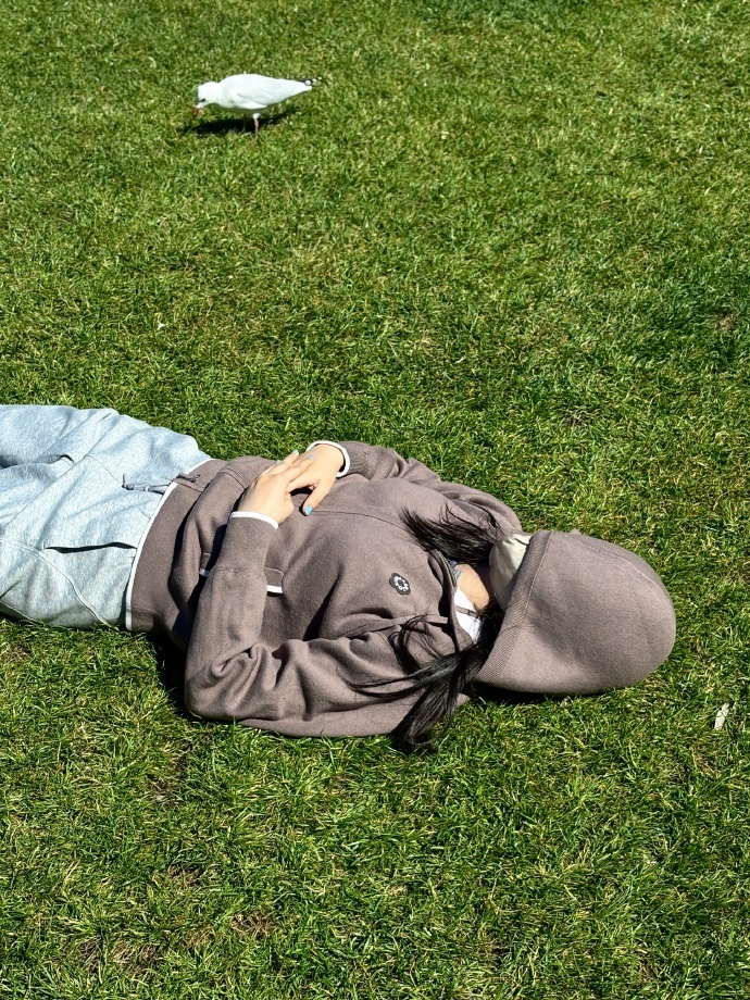 周也躺草坪上晒太阳周也草坪晒太阳四宫格 春日限定浪漫！周也躺在草坪上晒太阳的四宫