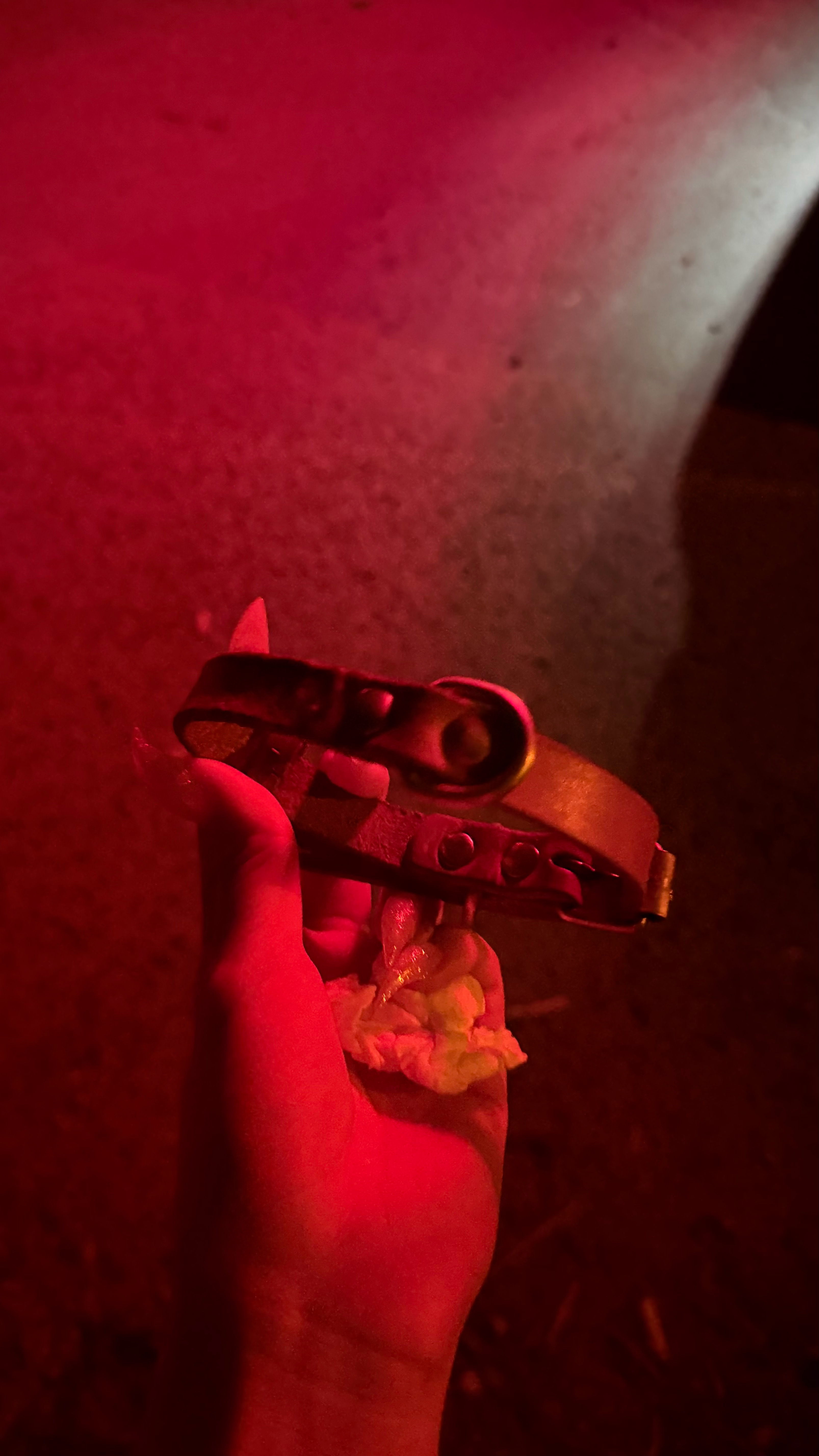 人总在失去后 后悔没好好珍惜 