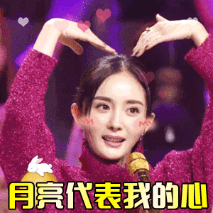 小蜜蜂们中秋快乐呀，今天吃饺子，你们吃的什么呀[憧憬]姐姐中秋快乐爱你 ​​​