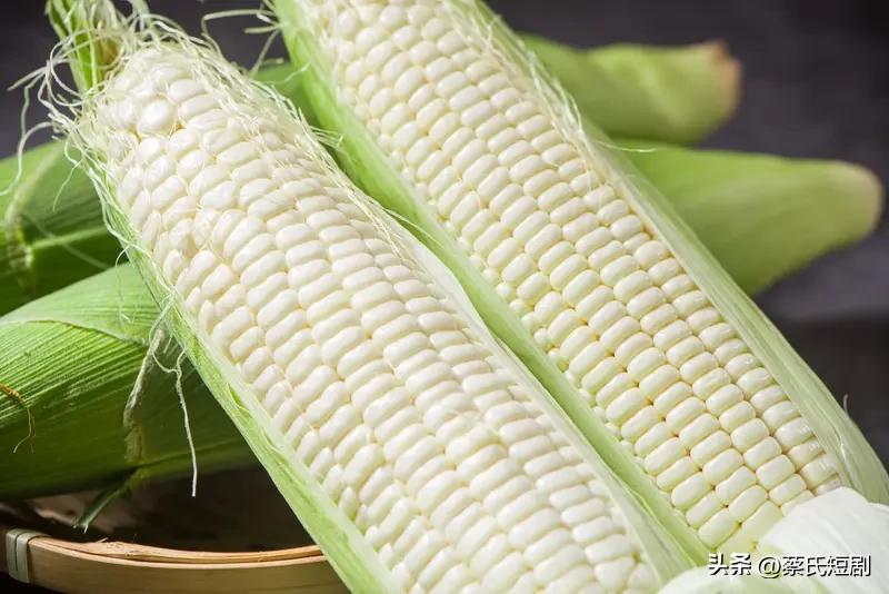 玉米的方言称谓着实饶有趣味！在东北和新疆，人们皆称其为“苞米”，这名称好似自带一