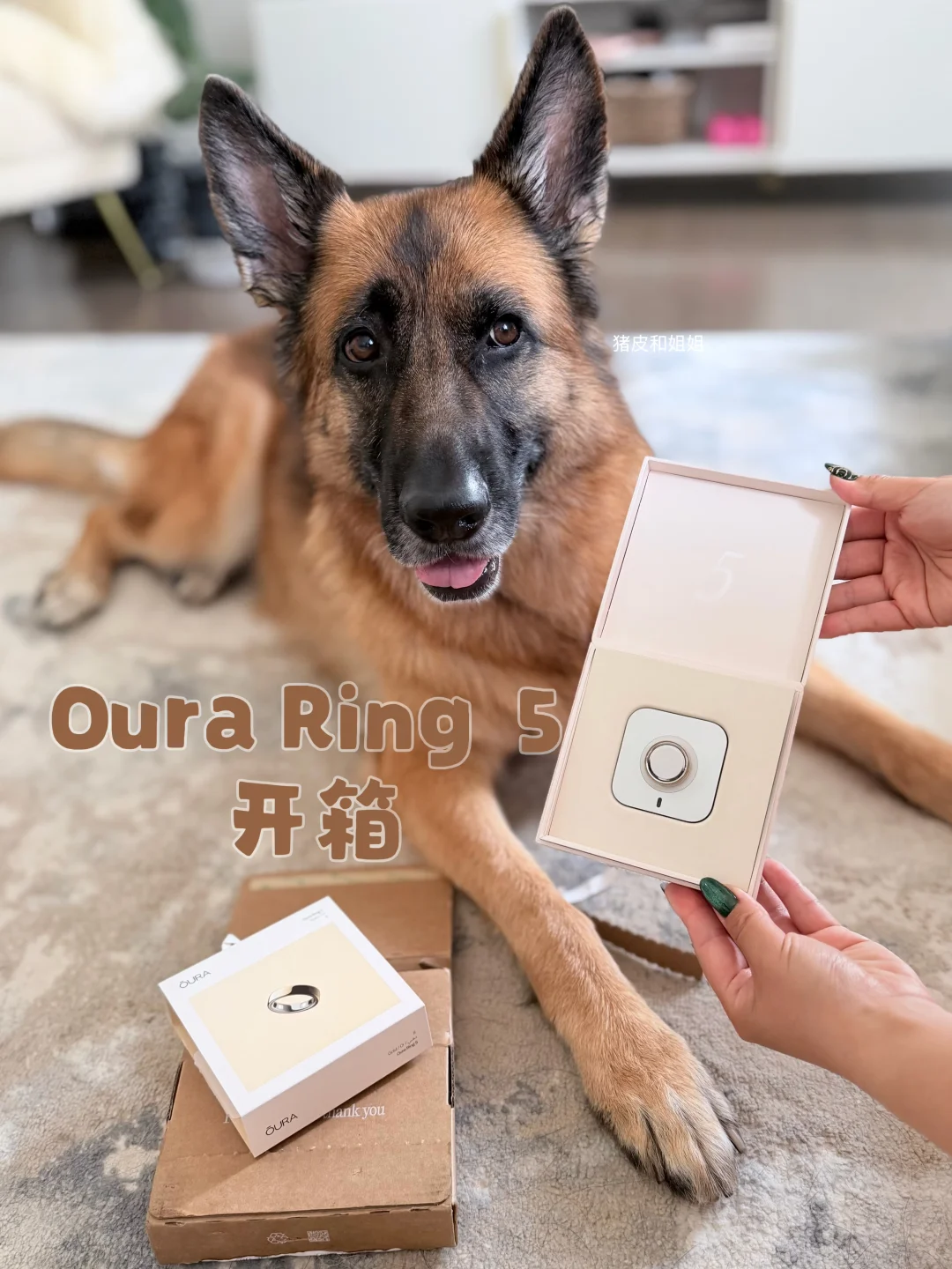 Oura Ring5金色8号 到货开箱✨