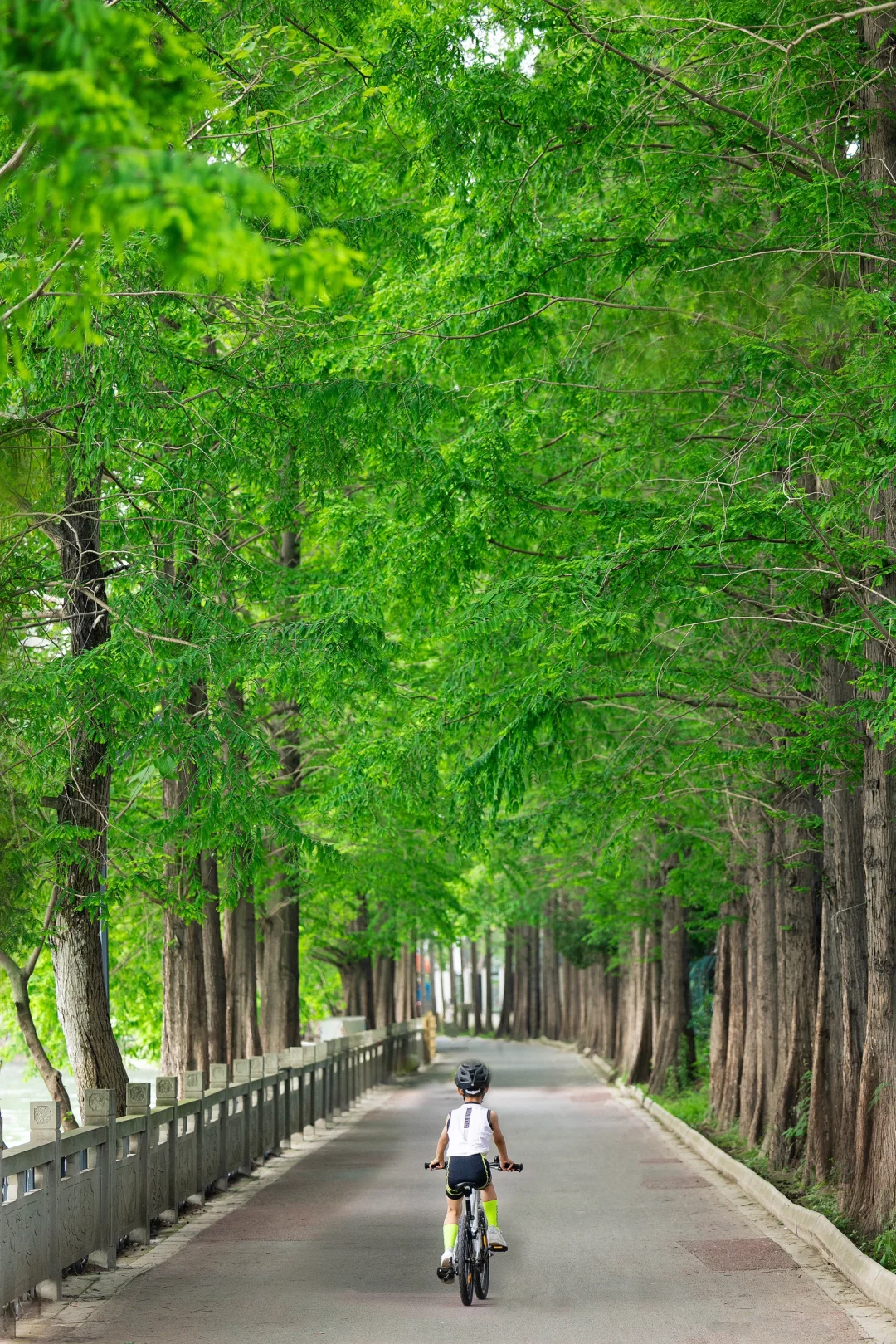 我宣布‼️这是成都夏天最舒服的两条骑行路线