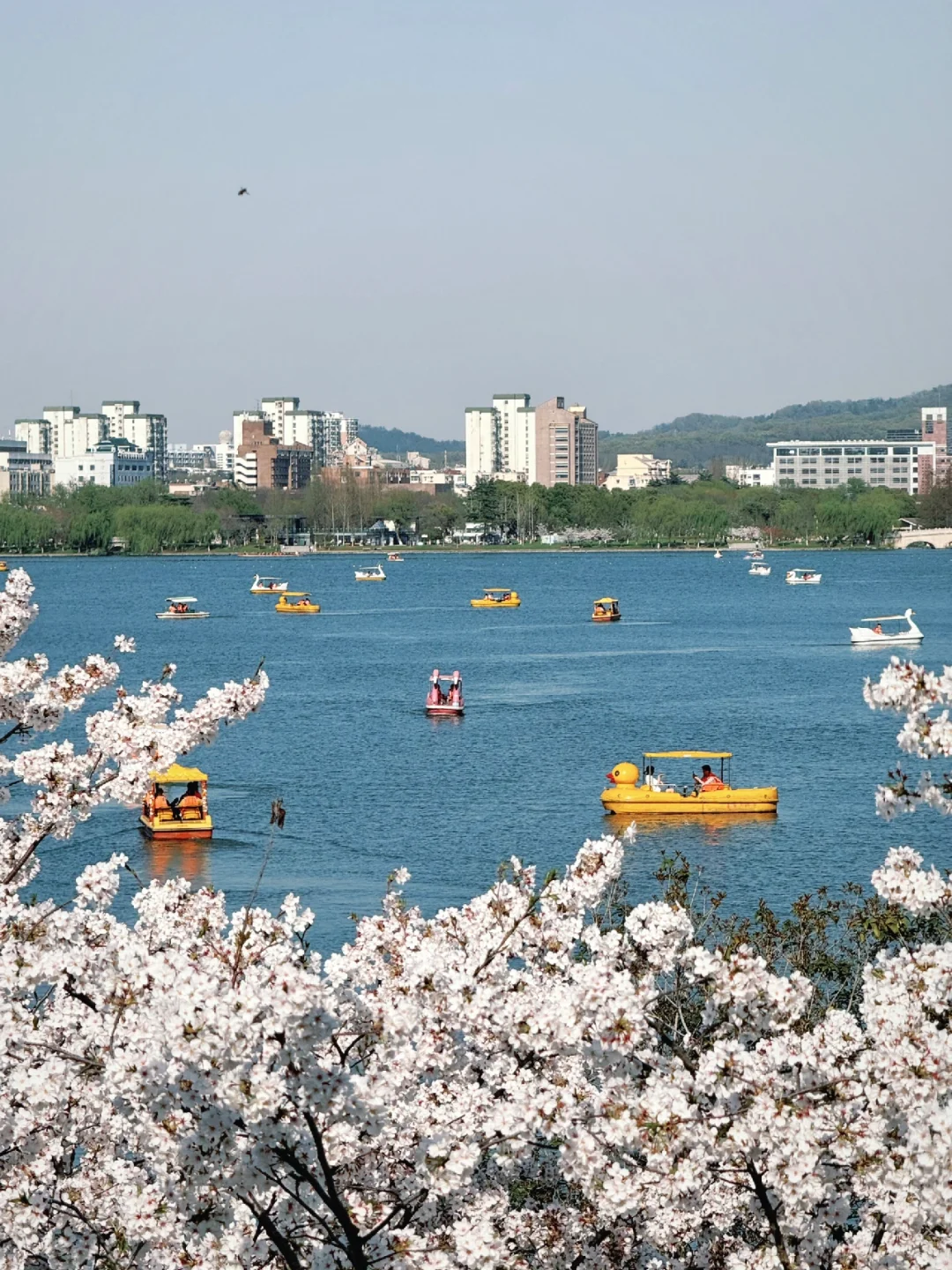 （南京）玄武湖二十分钟效应是真的！！！