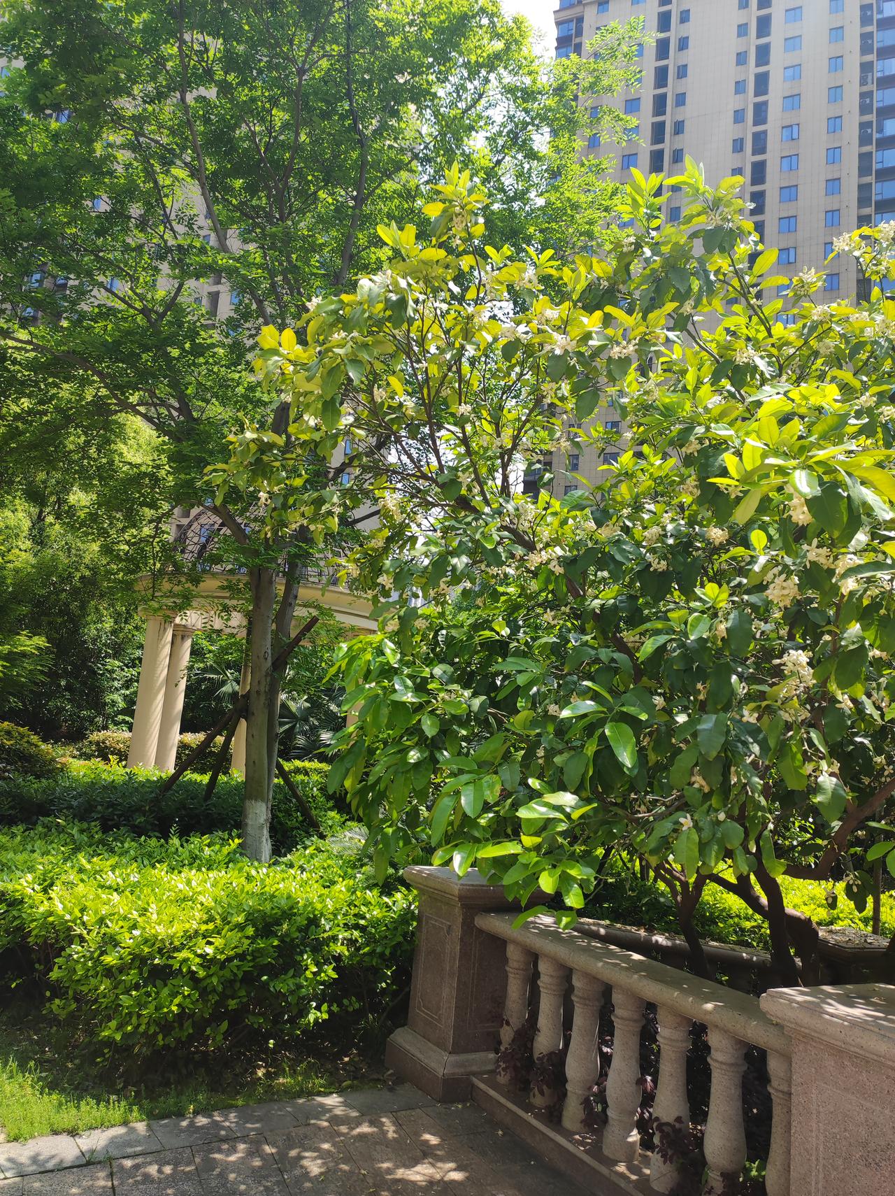 今天是我上班的第三天！
又多了几个朋友。
我来南昌十多年了，常年窝在家里，不接触