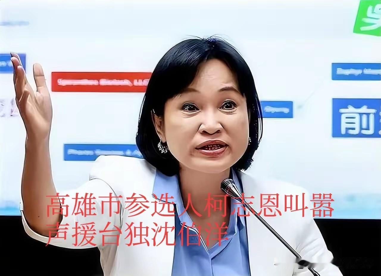 柯志恩、赵少康居然帮沈伯洋说话？国民党里咋还有这种人啊！要不是我盯准了这俩名字多