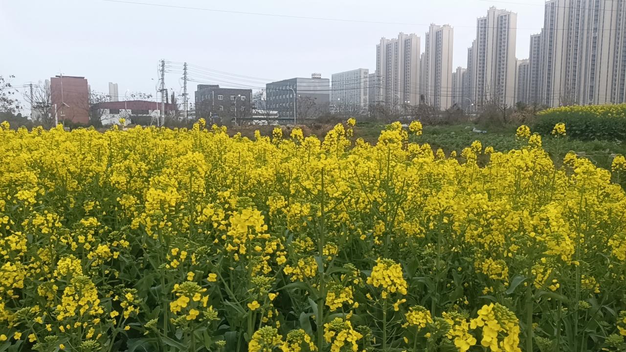 上交≠合理，代管≠没收。
 
1. 法律上一句话
 
- 压岁钱是给孩子的赠与，