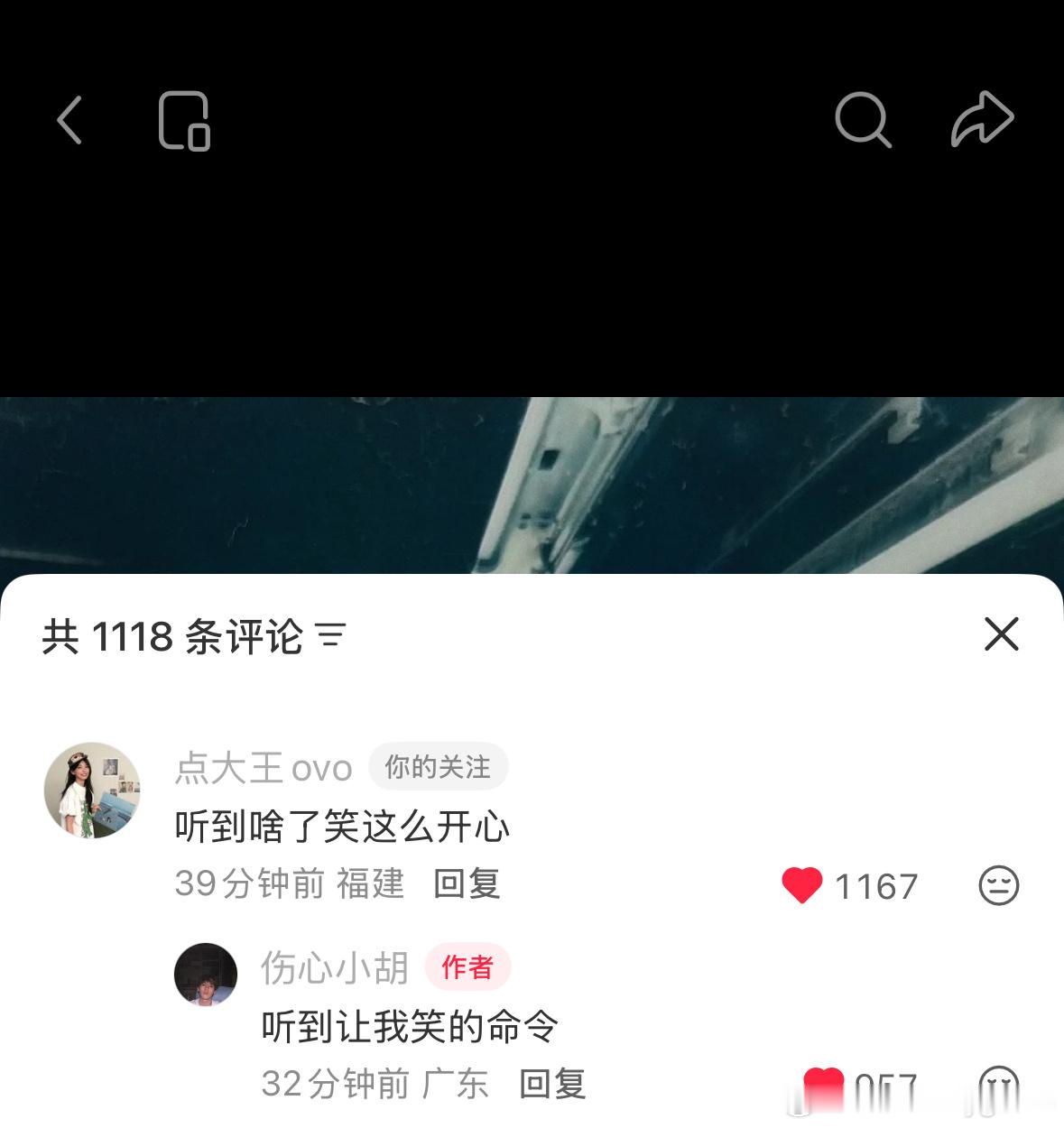 这几天一直在偷吃愉阳 你们俩还我睡眠 