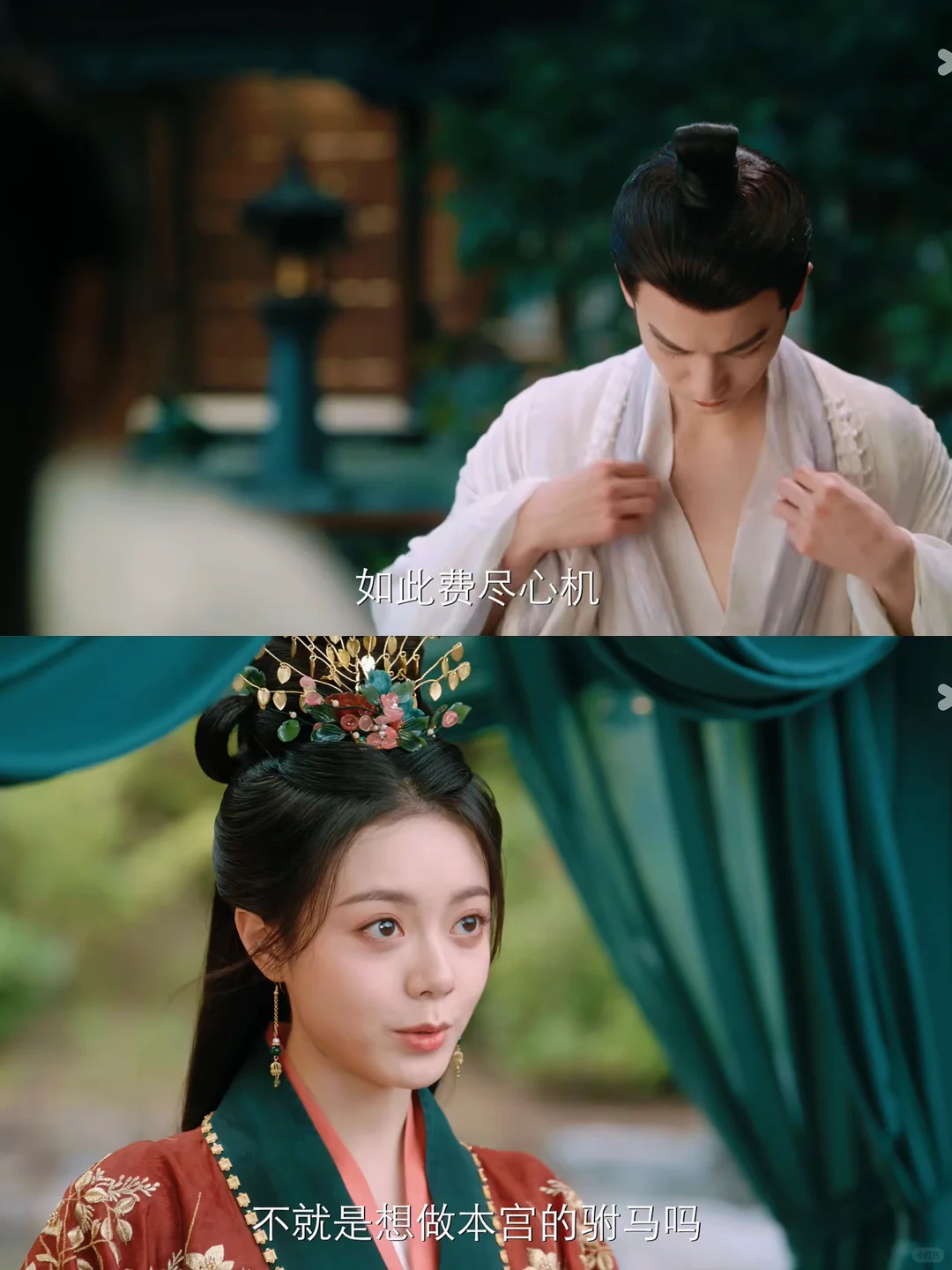 妈耶‼️这什么宝藏爽剧‼️笑不活了🤣