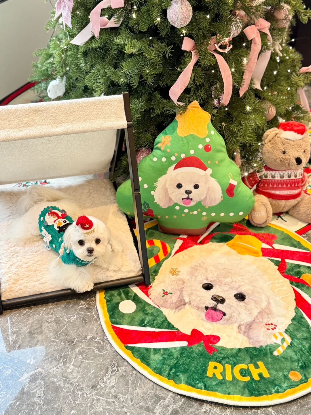 衣服买了12345678件，怎么还没到圣诞！