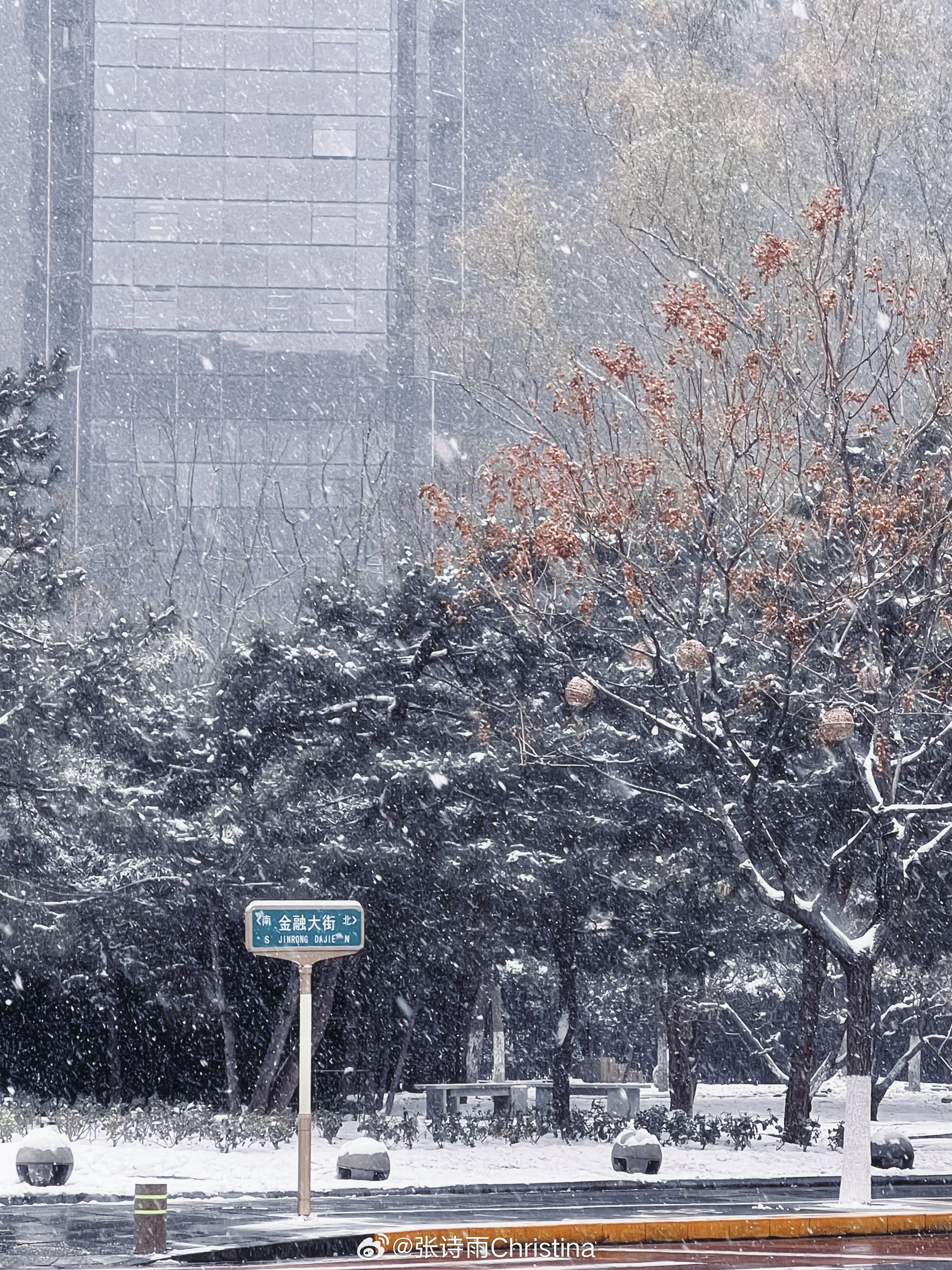 下雪啦啦啦❄️☃️  ​​​