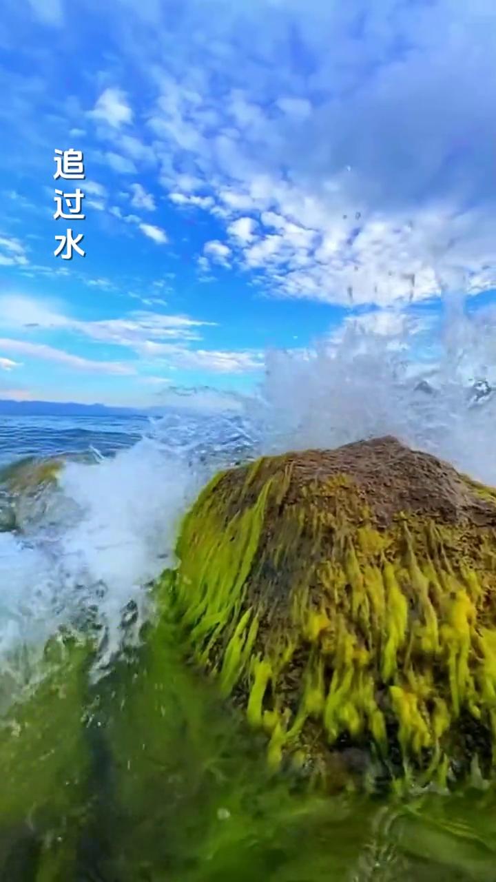 芦花。
演唱者：郁钧剑。
制片人：芙蓉传媒。
芦花美，花絮满天飞，千丝万缕意绵绵