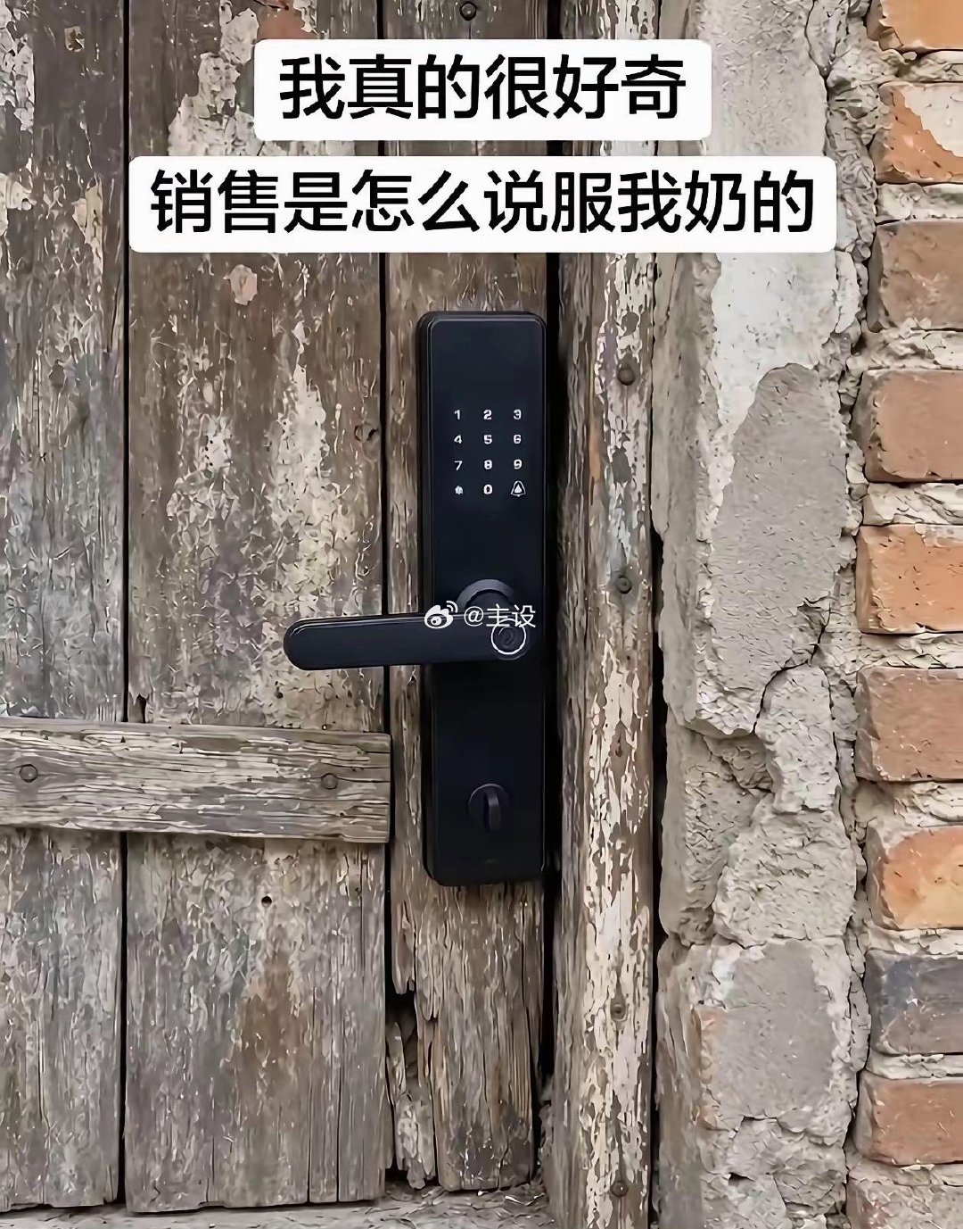 我也是特别好奇！ ​​​