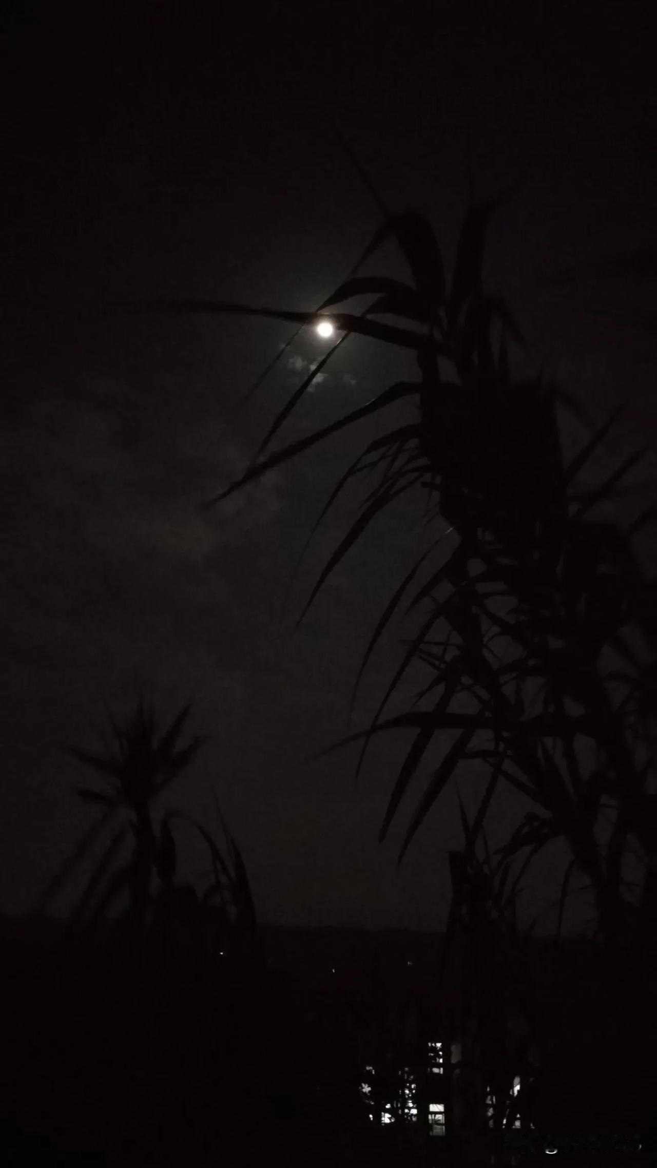 分享一张月亮照片