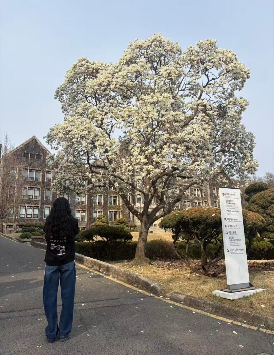 萱萱在延世大学拍的这张一股浓浓的韩女味 ​​​