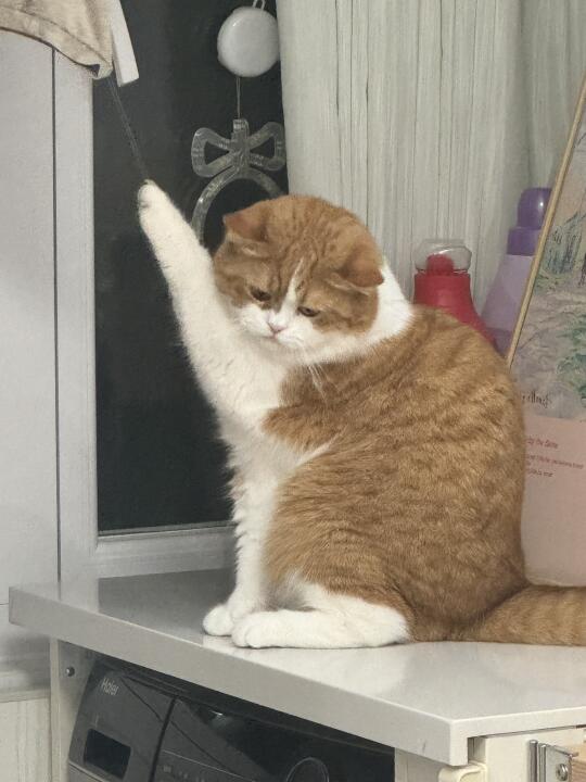 人，救我，不然就别看着我