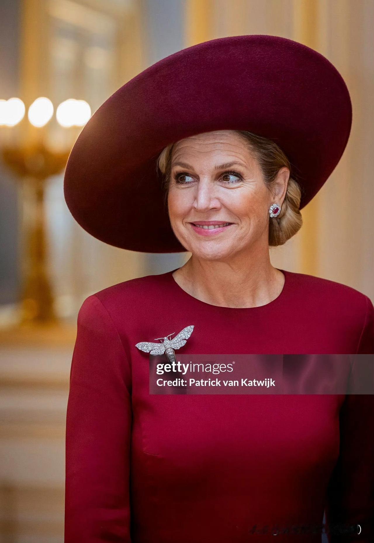 国王夫妇接待到访的卢森堡大公夫妇！马克西玛的酒红色连衣裙来自Natan！这个牌子