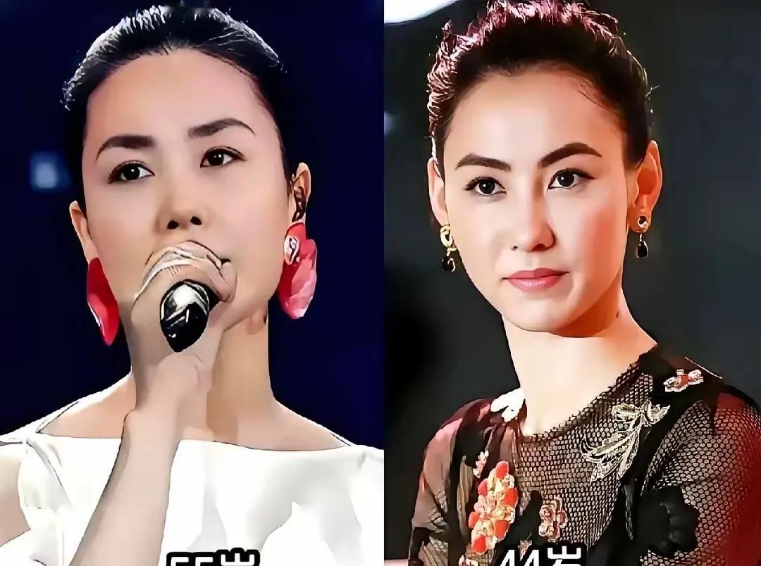 家人们快来看这出“单亲妈妈大乱斗”！谢霆锋估计要气得直跺脚，张柏芝在《星语心愿》