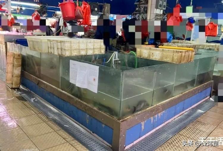 （原创）激励
朋友夫妇都是做水产品生意，在东城菜市场买了摊位。
他们的摊上生意很