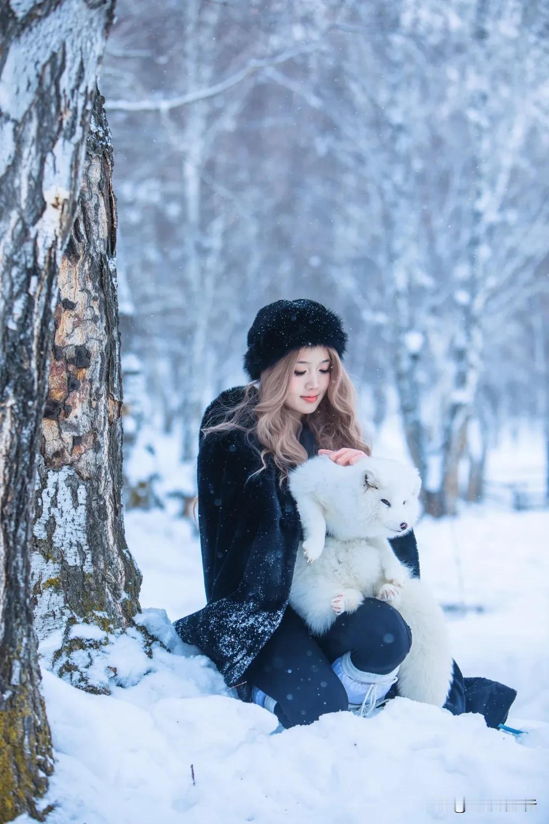 叮咚～白狐上线
新加禾木旅拍小萌宠！！
雪地白狐，冬日的灵动
定格唯美旅拍，仿若