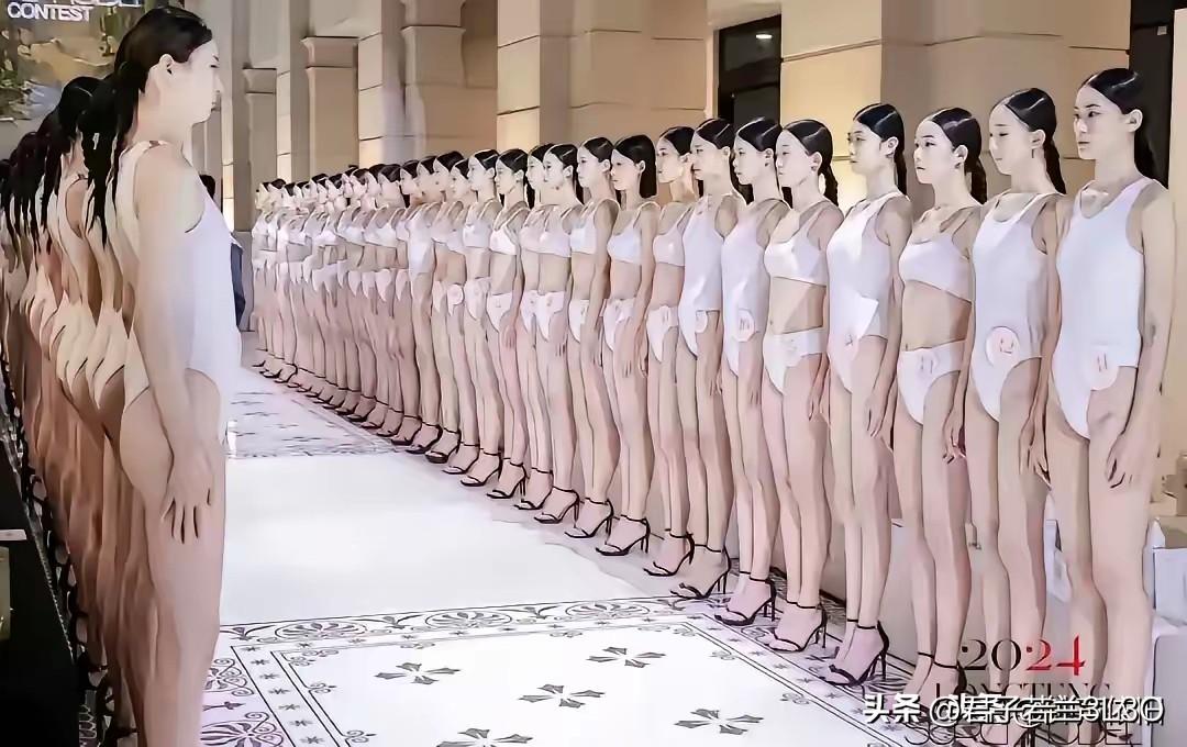 用什么成语来形容比较贴切？