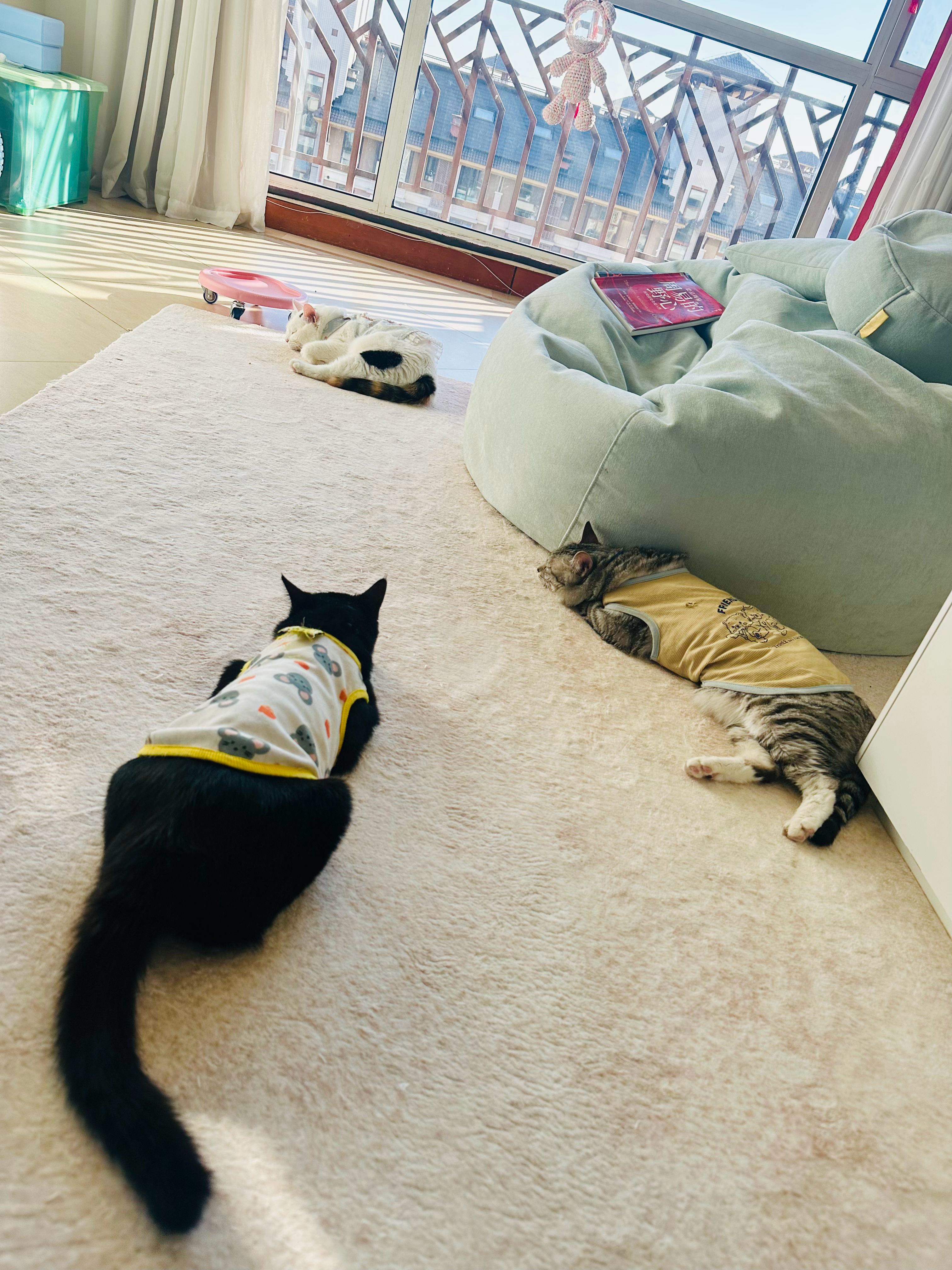 后期的不堪，不否定前期的真情，这是一种可能性；后期的不堪，源于前期可能也没有真情