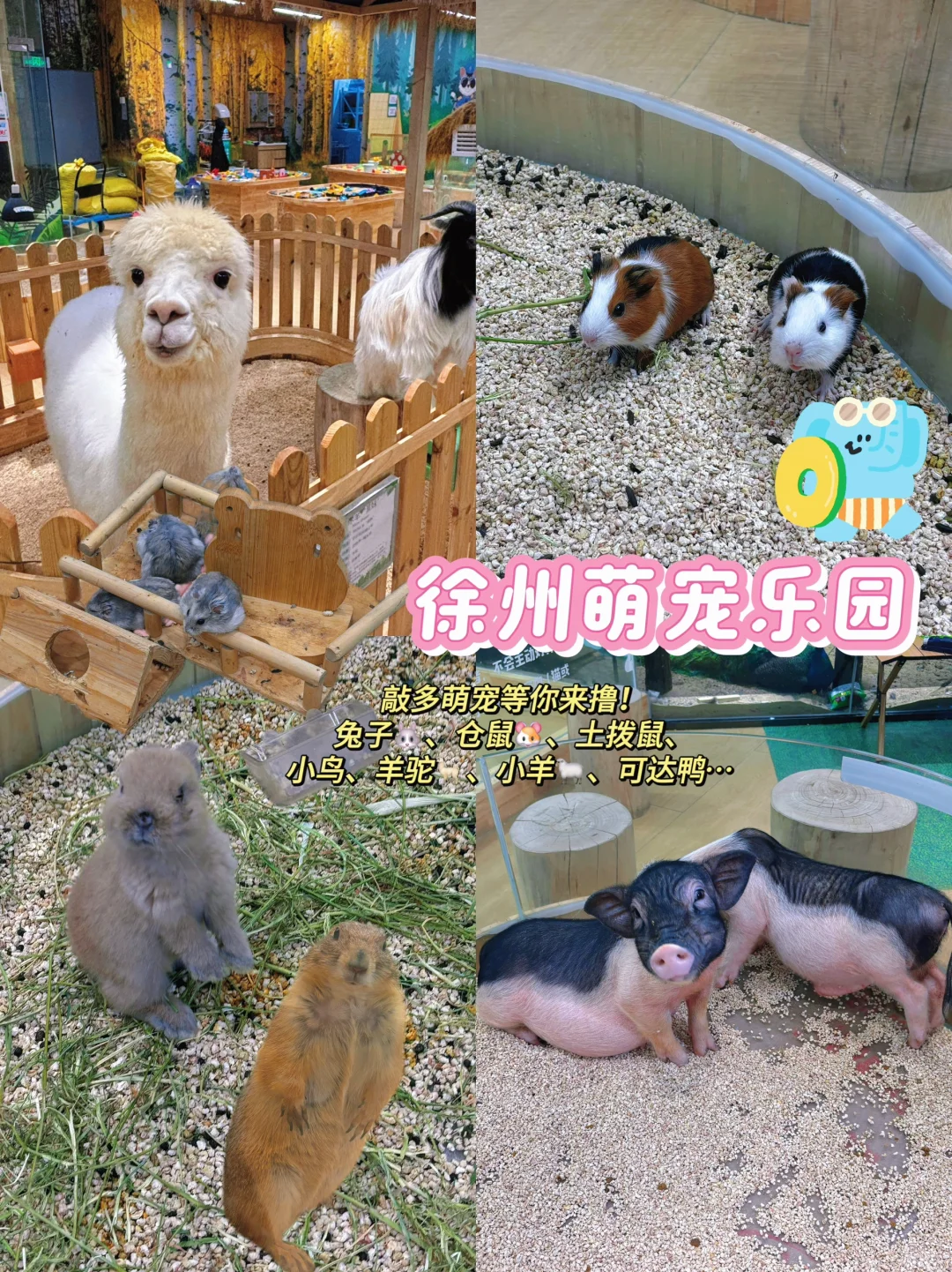 徐州！奇妙乐园一定要去！遛娃好去处 	 [樱花R][樱花R]徐州遛娃怎...