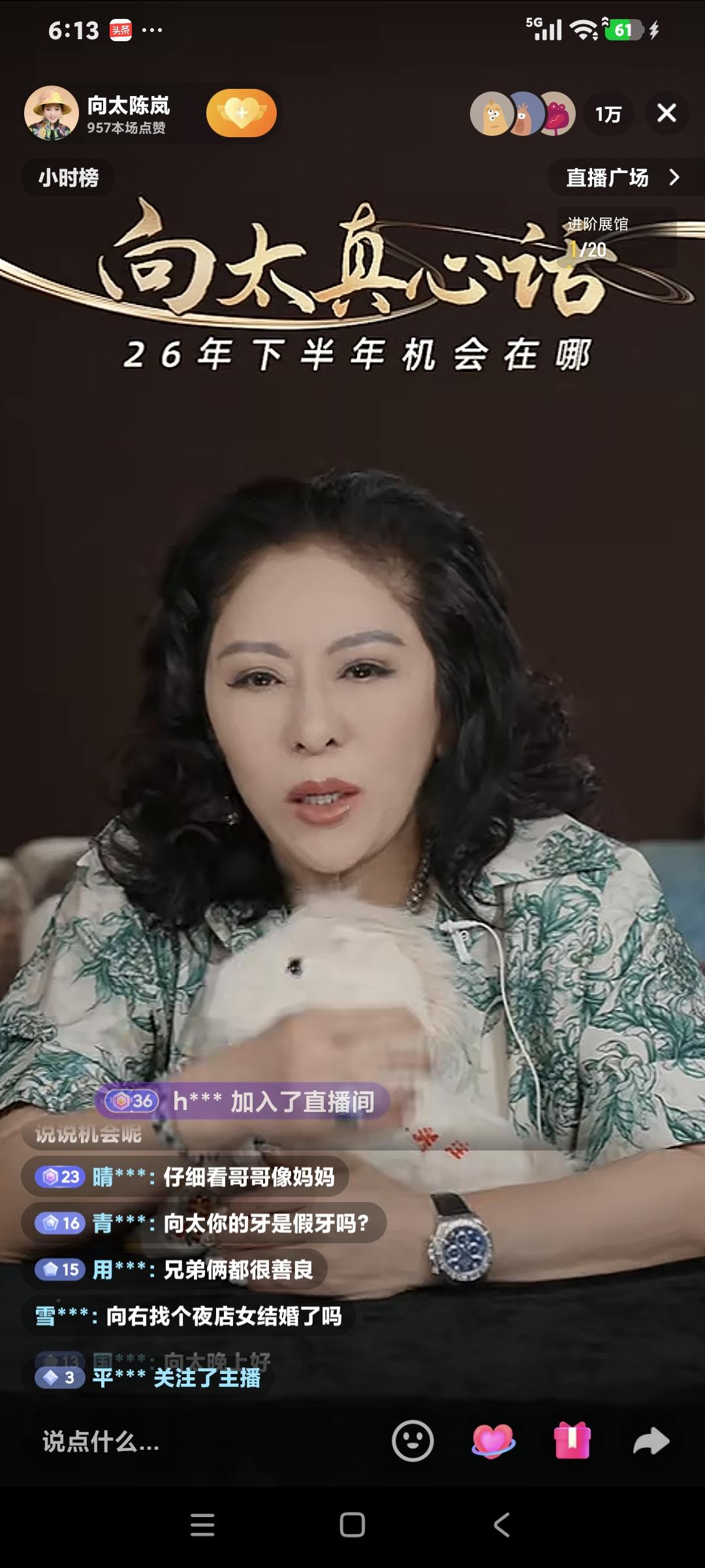 向太陈岚聊天，粉丝说:"看到向佑和向佐，向佑挺像你的。"向太说:"他其实挺像他爸