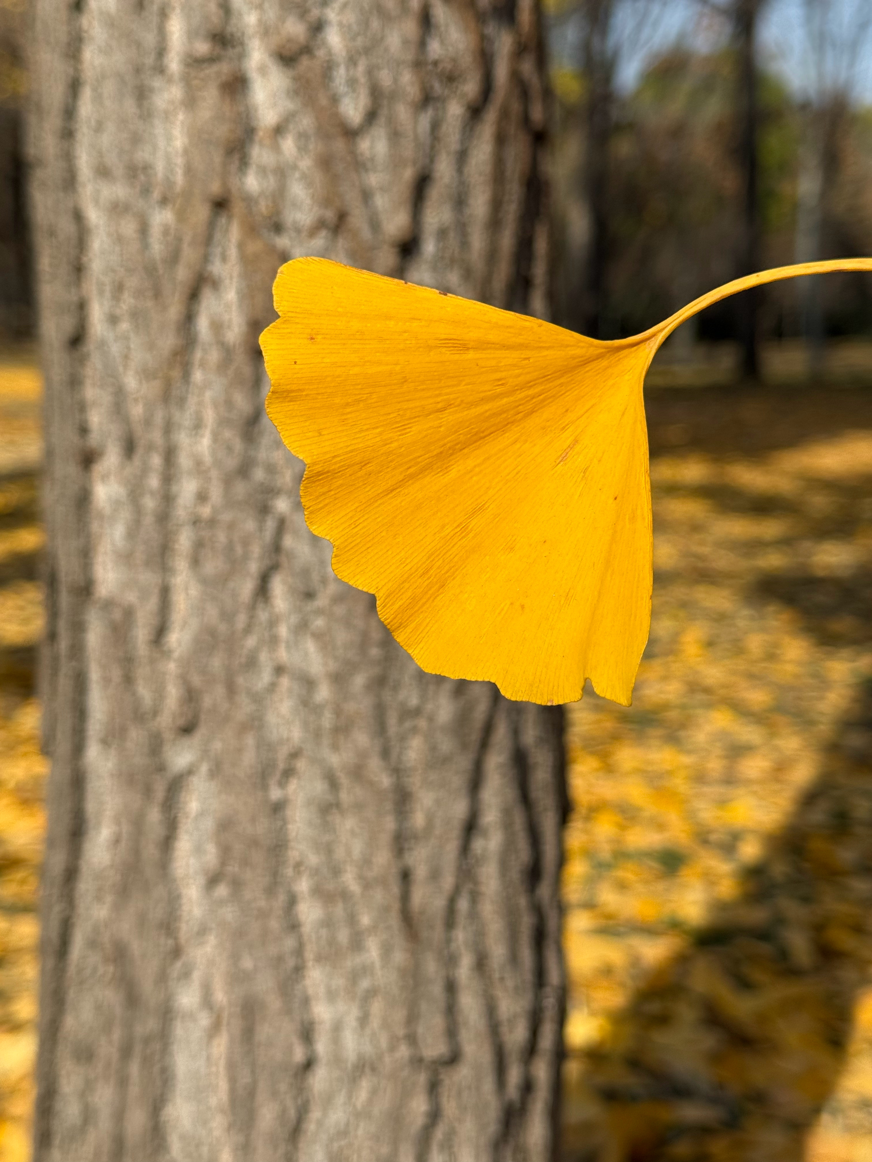 忙里偷闲，出来晒晒… 