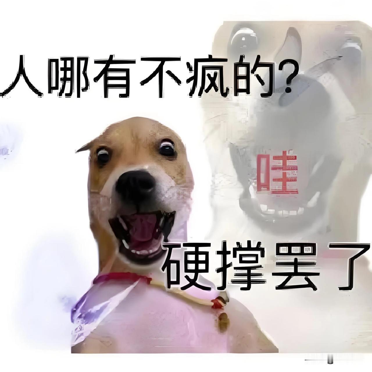 我觉得我有点人格分裂，简称有病！

你们知道的，我是半个兽医，以前的时候经常解剖