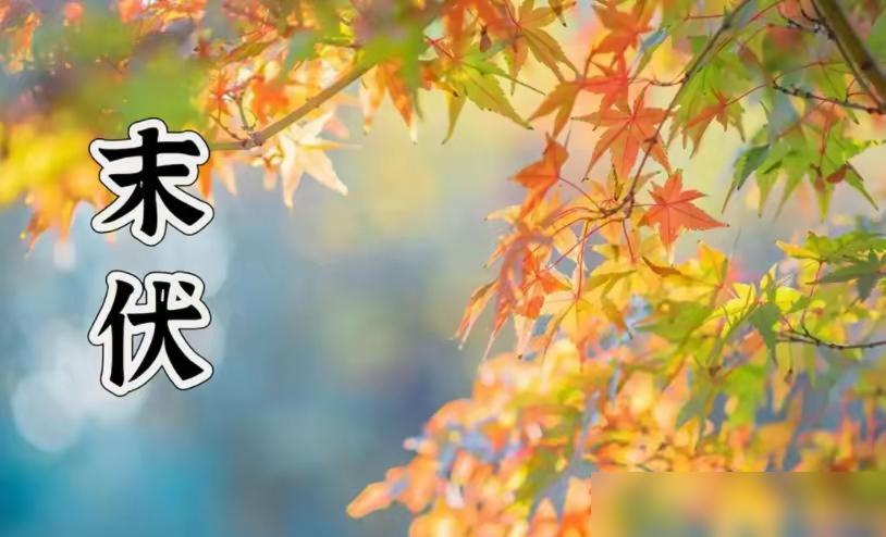 8月15号了！

说真的我去年就是在末伏这几天瞎作，愣是把自己作得秋冬连咳了两个