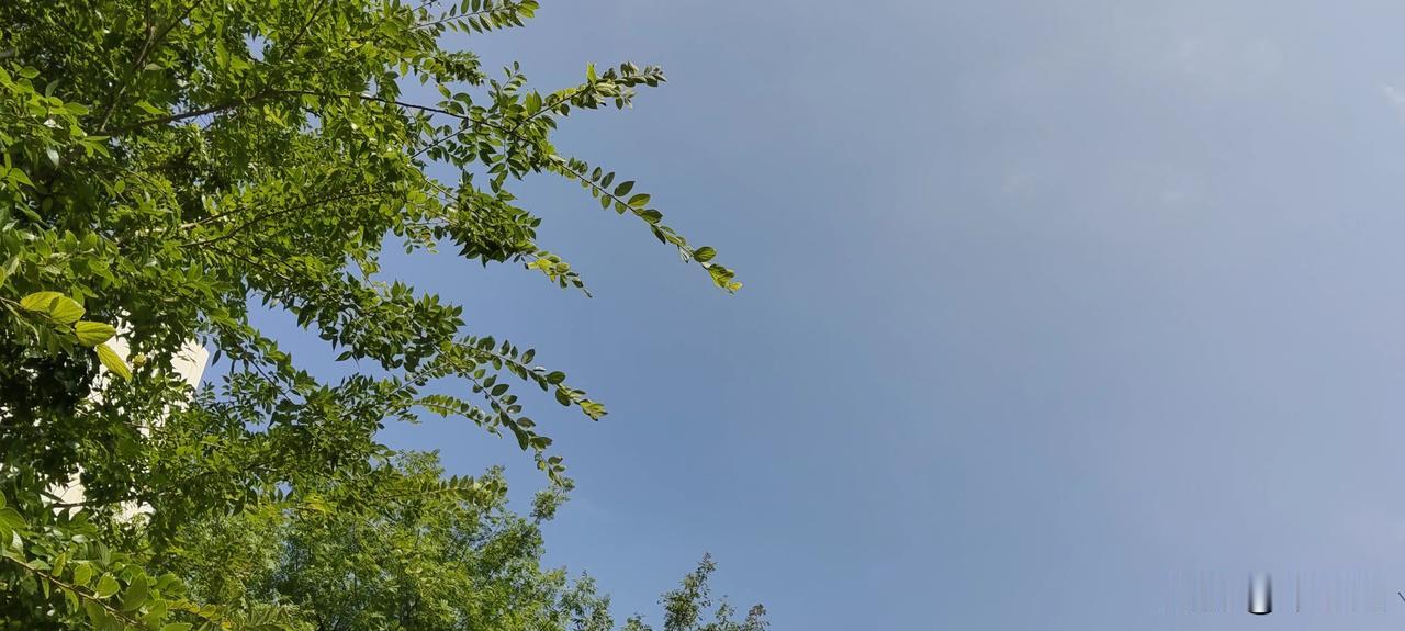 我今年41岁，是一条不认命的犟驴，38岁宫颈癌早中期，4个化疗，25个放疗，肾积