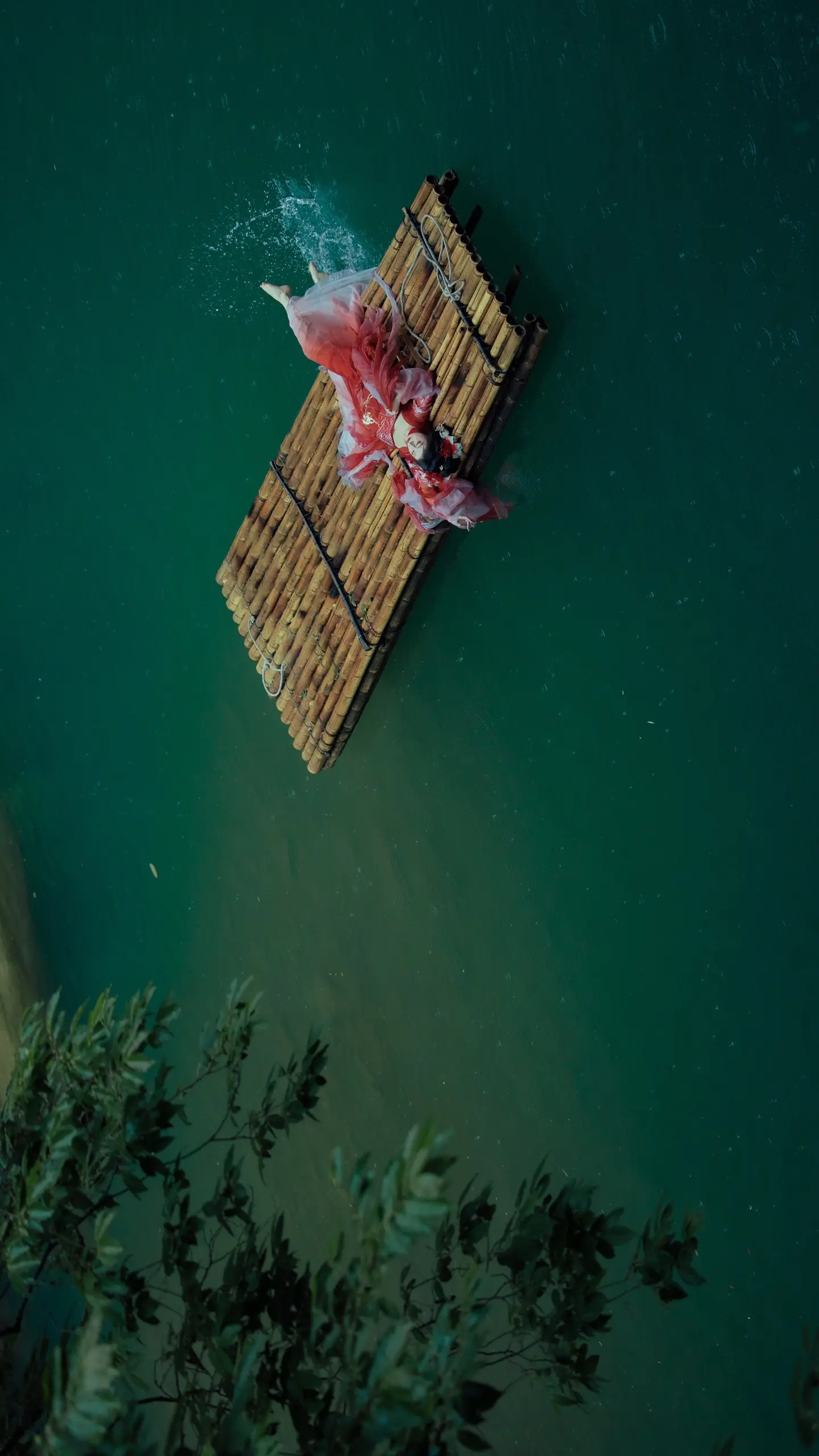 “书生，你也是来劝我上岸的吗？”