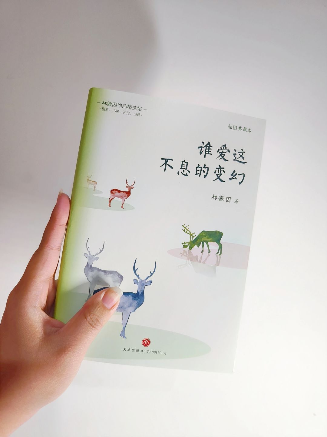 有一种文字，让我变得很安静！