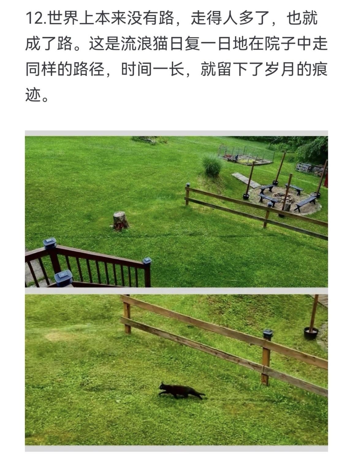 世界上本来没有路，走得人多了，也就成了路