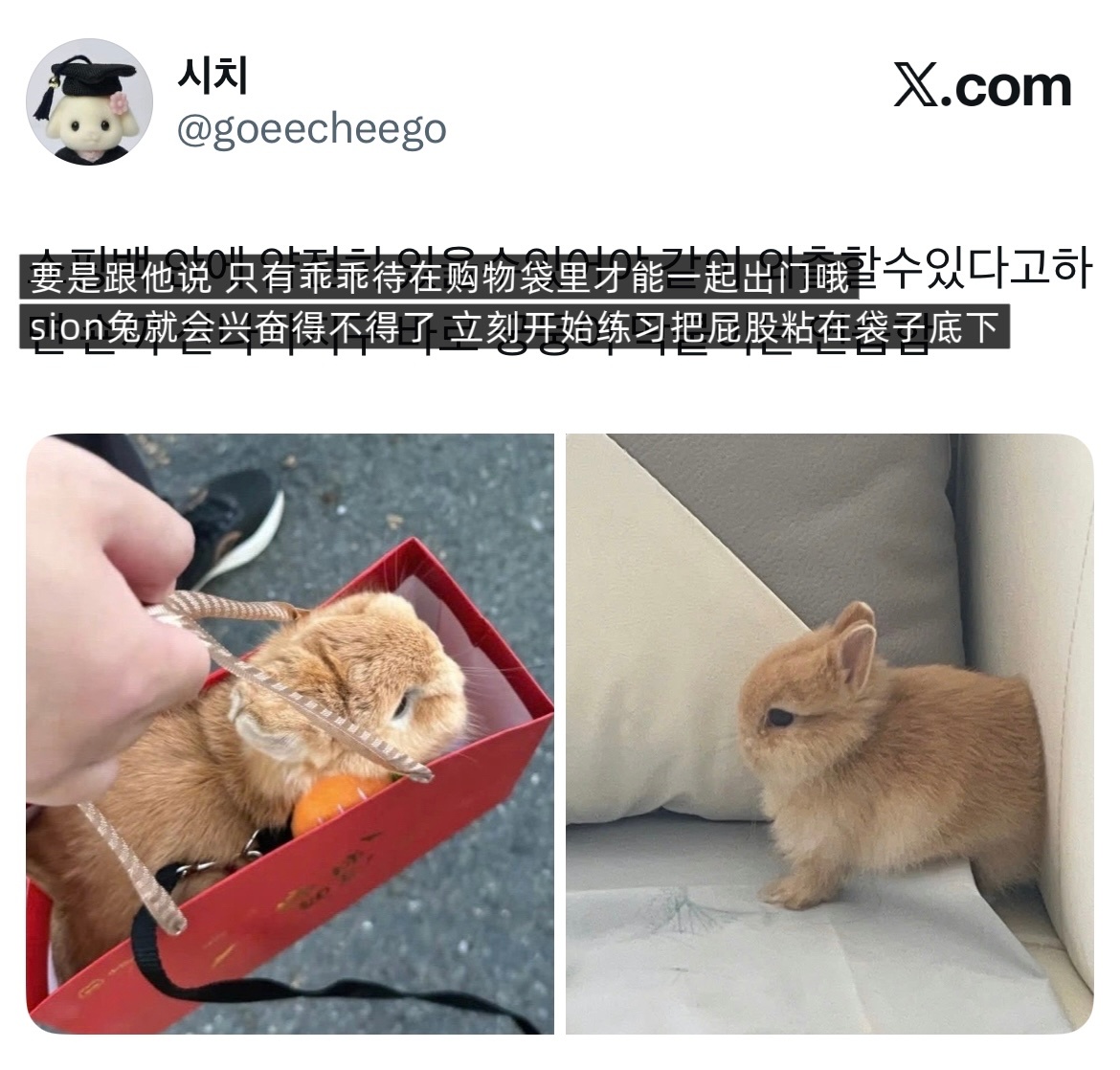 【tg】🥹🫳🏻好乖 